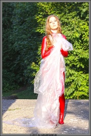 rotes045