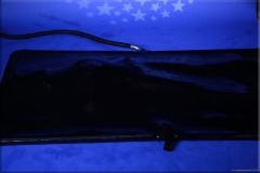 vacbed155