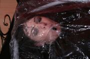 vacbed11