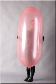 Zeppelin008