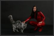 Rot82