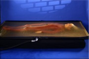 vacbed029