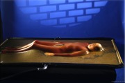 vacbed039