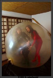 Ballon53