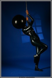 Studio295