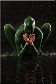 gruen164