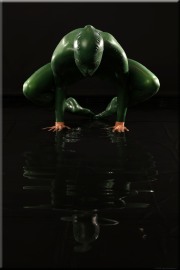 gruen203