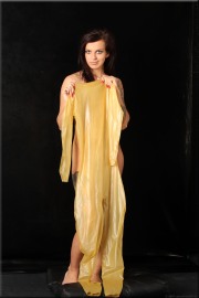 transparent001