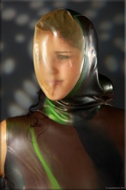 dschungel045