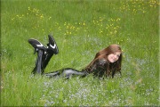 black047