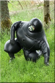 Cyborg123